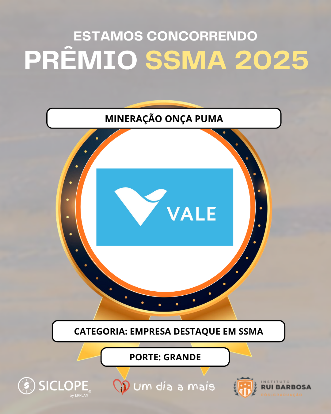 Mineração Onça Puma