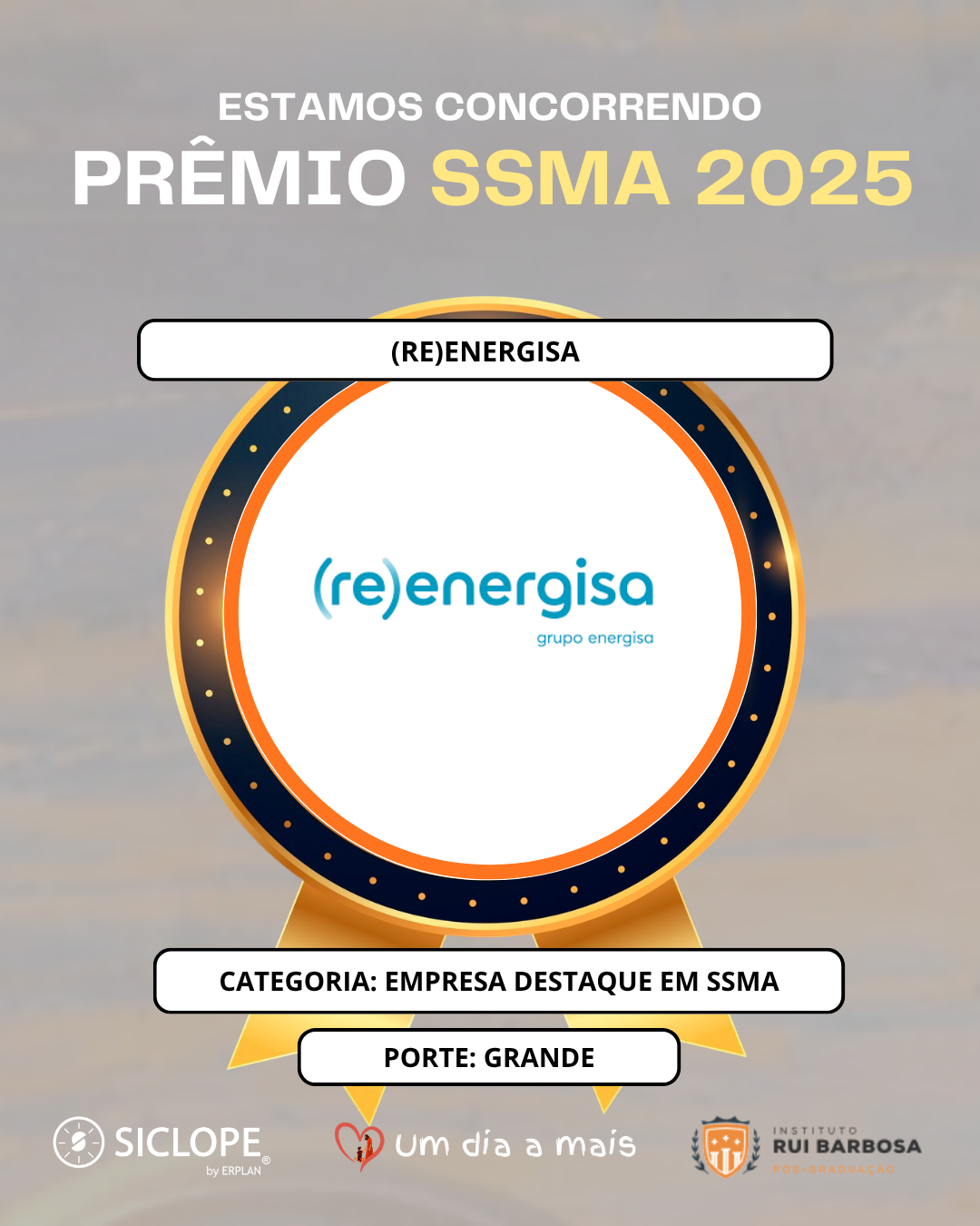Reenergisa